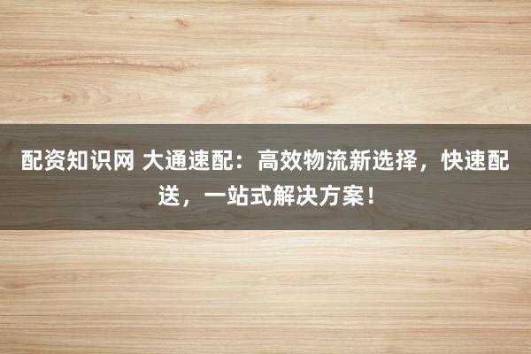 配资知识网 大通速配：高效物流新选择，快速配送，一站式解决方案！