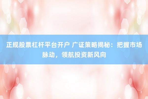 正规股票杠杆平台开户 广证策略揭秘：把握市场脉动，领航投资新风向