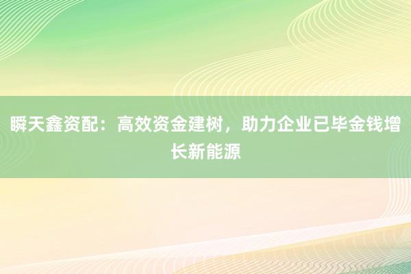 瞬天鑫资配:高效资金建树,助力企业已毕金钱增长新能源