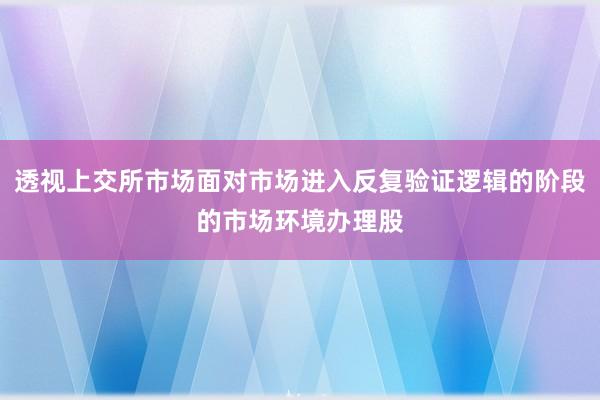 透视上交所市场面对市场进入反复验证逻辑的阶段的市场环境办理股