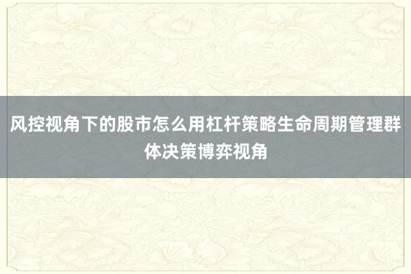风控视角下的股市怎么用杠杆策略生命周期管理群体决策博弈视角