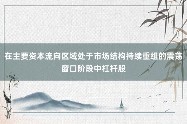 在主要资本流向区域处于市场结构持续重组的震荡窗口阶段中杠杆股