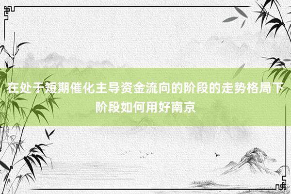 在处于短期催化主导资金流向的阶段的走势格局下阶段如何用好南京