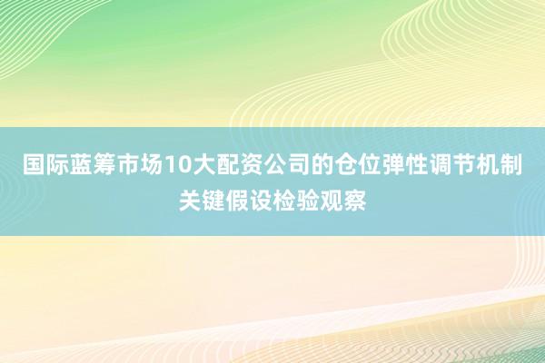 国际蓝筹市场10大配资公司的仓位弹性调节机制关键假设检验观察
