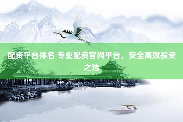 配资平台排名 专业配资官网平台，安全高效投资之选