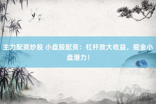 主力配资炒股 小盘股配资:杠杆放大收益,掘金小盘潜力!