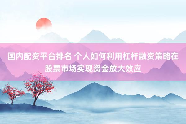 国内配资平台排名 个人如何利用杠杆融资策略在股票市场实现资金放大效应