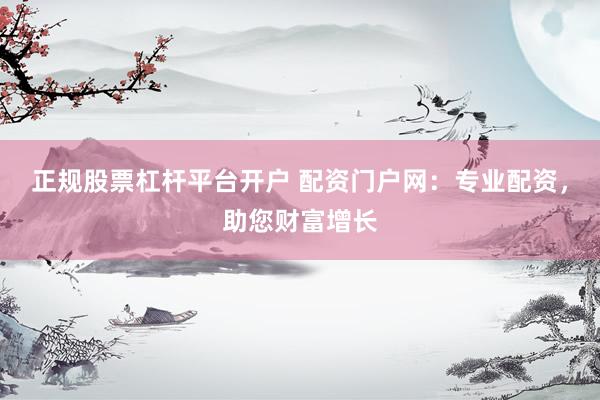 正规股票杠杆平台开户 配资门户网：专业配资，助您财富增长